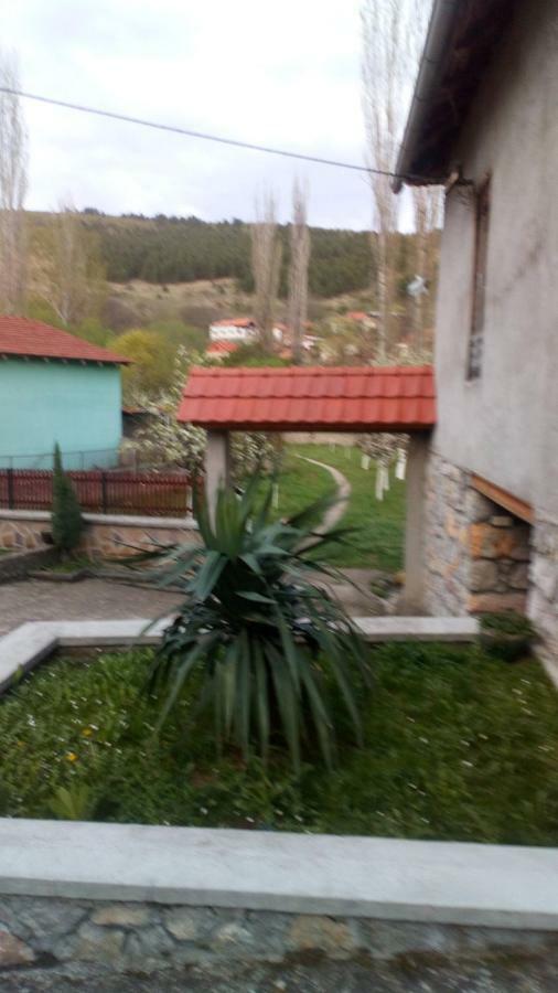 Guest House Green view Pirot Buitenkant foto