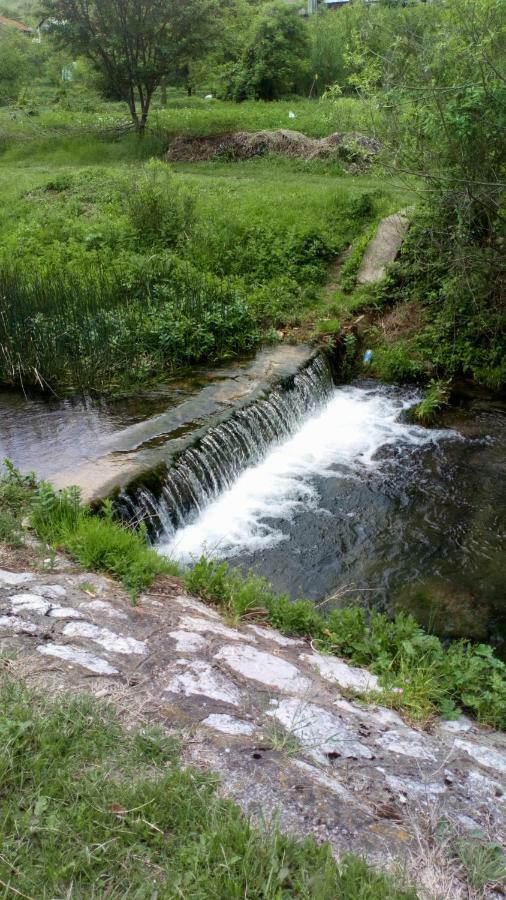 Guest House Green view Pirot Buitenkant foto